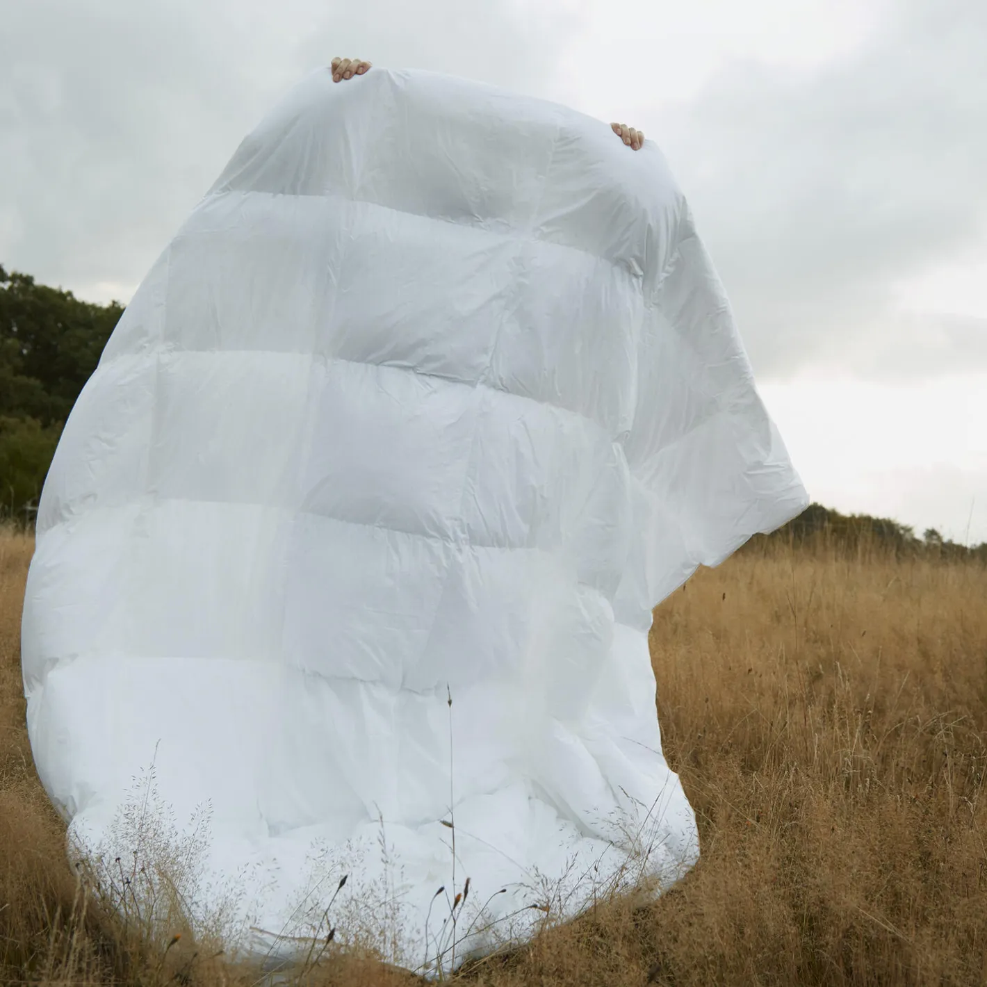 Nordic Sleep by Fossflakes Autumn dyne> Dyner