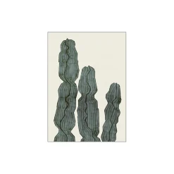 Poster & Frame Cactus Euphorbia> Plakater & Rammer