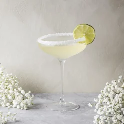 New Eva Solo Champagne Coupe