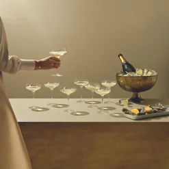 New Eva Solo Champagne Coupe