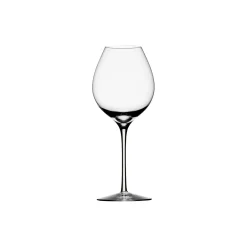 Best Orrefors Difference Fruit vinglas