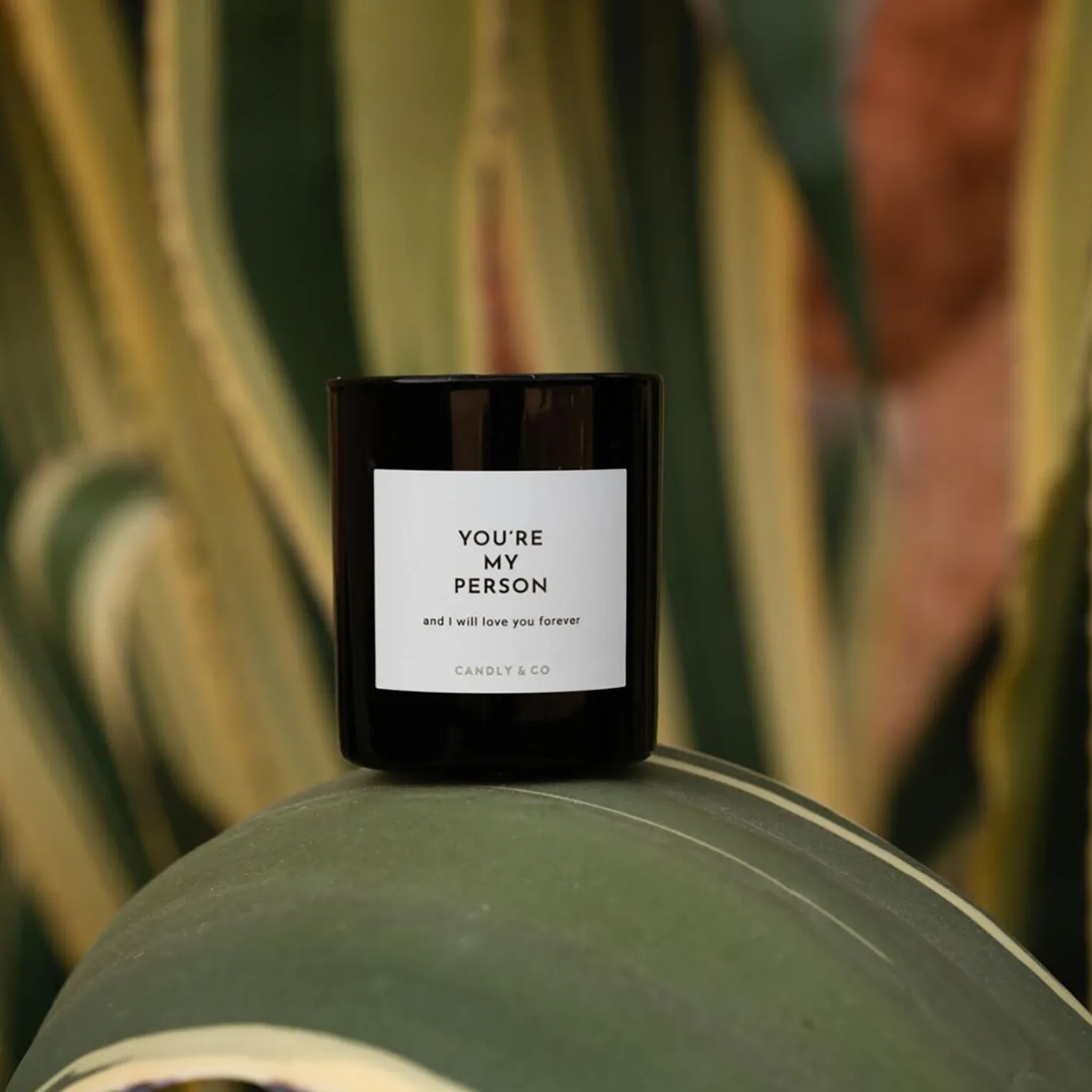 Hot Candly & Co No. 3 Candle, You are my person and I will love you forever