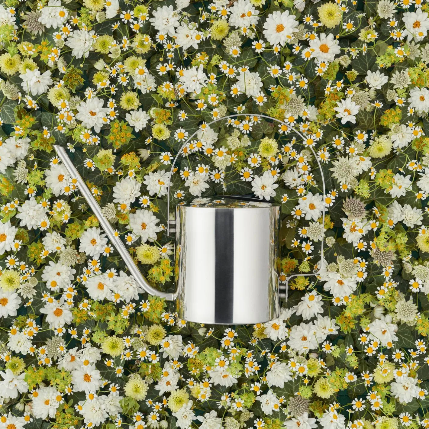Discount Stelton Original blomstervandkande