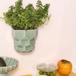 Dottir Nordic Design Samsurium væghængt potteskjuler, eucalyptus> Botanik