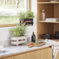 Eva Solo Selvvandende Herb organiser,><noscript><img width=