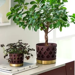 Discount Klong Trio Drop Flowerpot Medium dark red